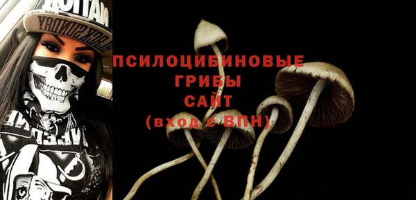 mdpv Белокуриха