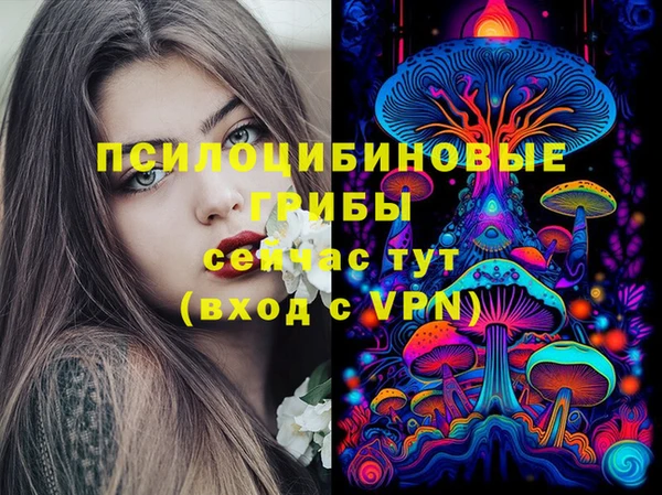 mdpv Белокуриха